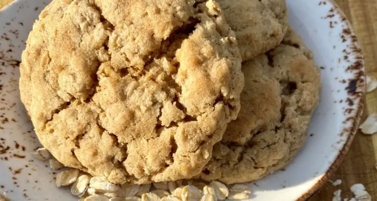 Oatmeal Cookie