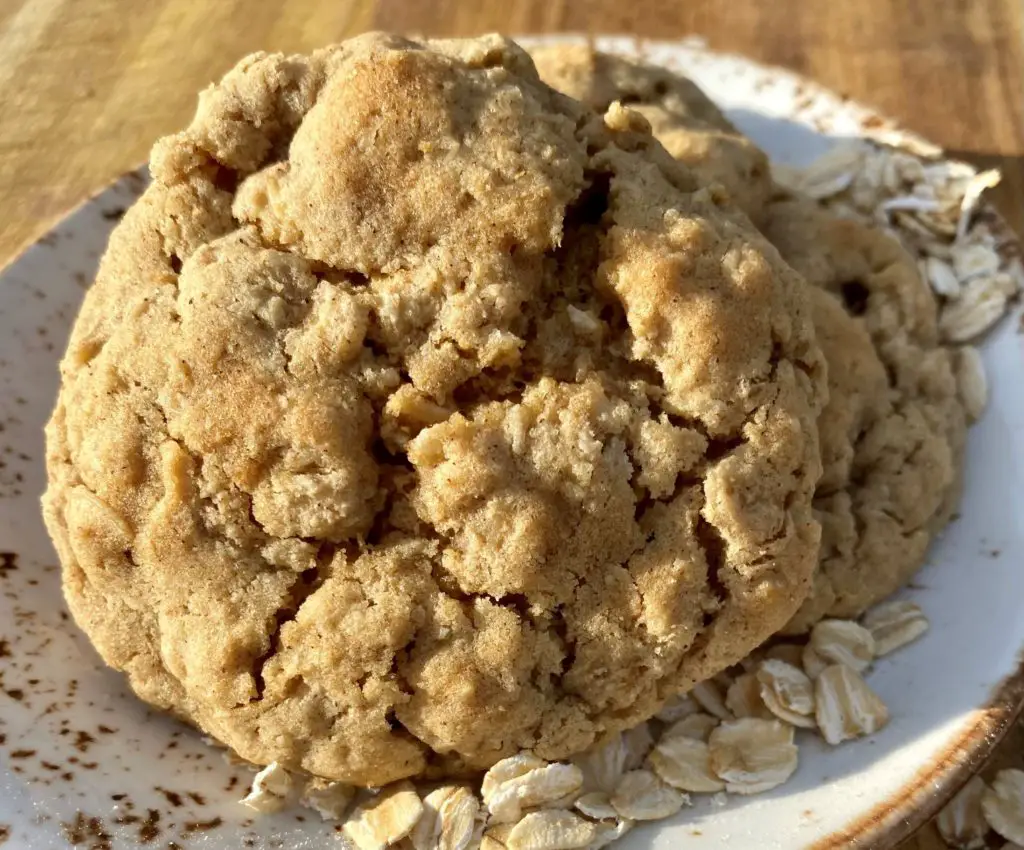 Oatmeal Cookie