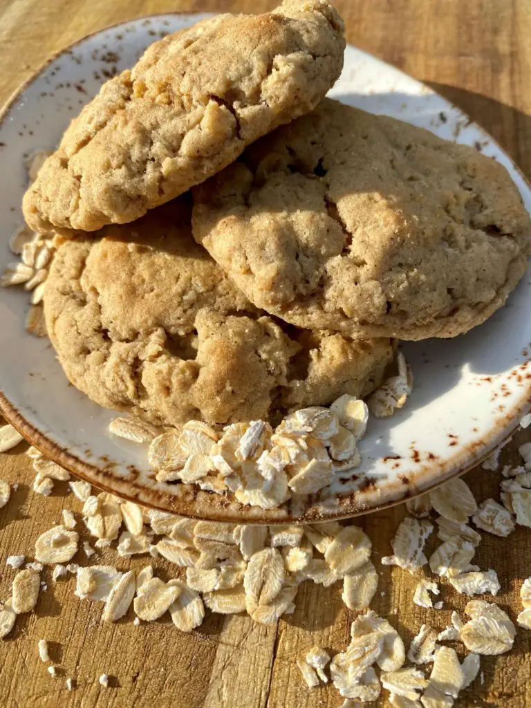 Oatmeal Cookie